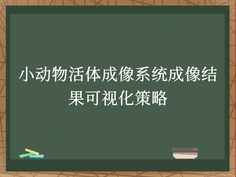 小动物活体成像系统成像结果可视化策略